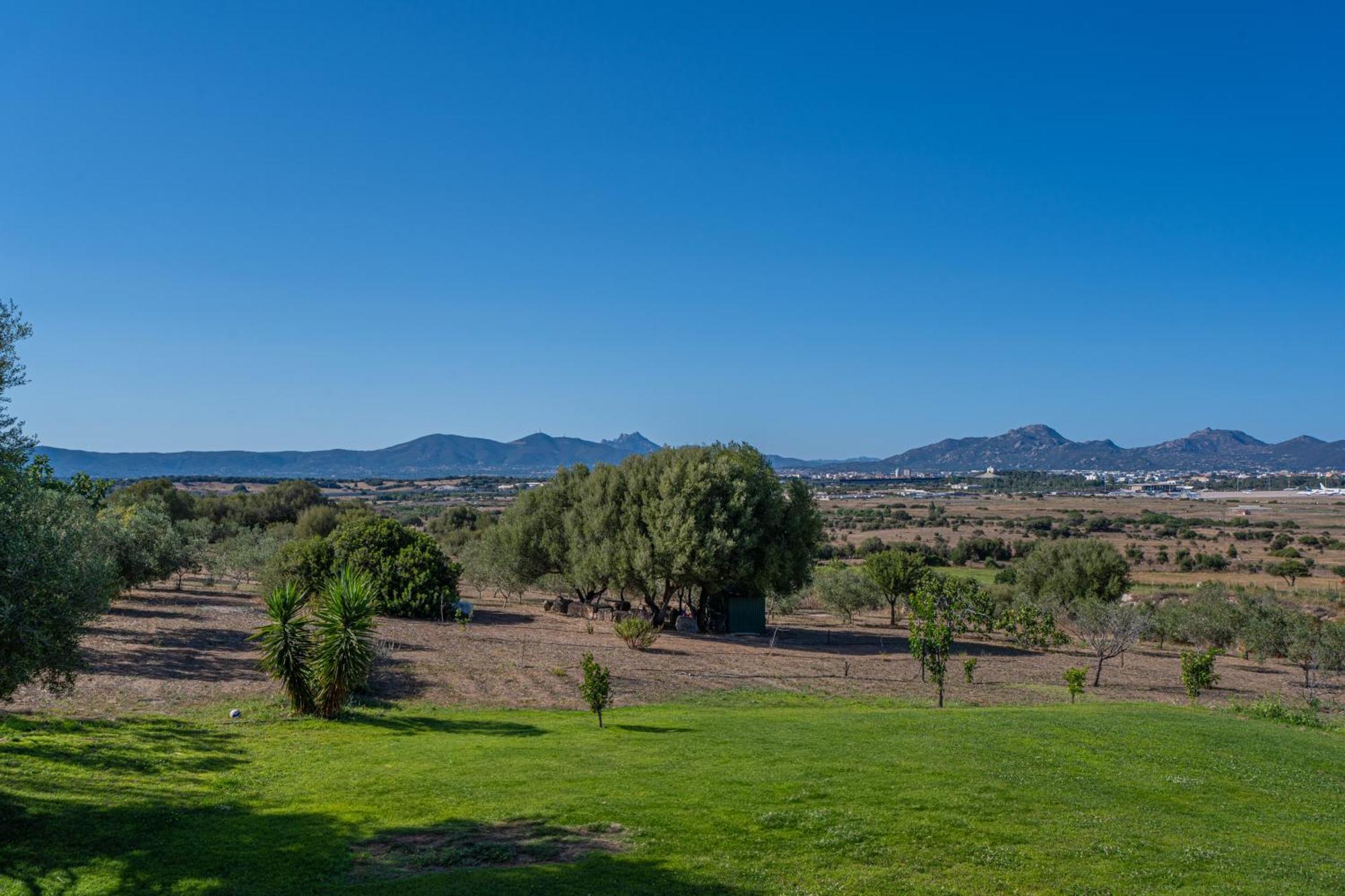 Villa Patrizia-Luxury House Olbia Bagian luar foto